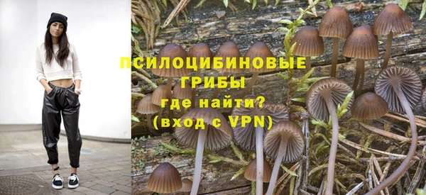 соль ск Балабаново