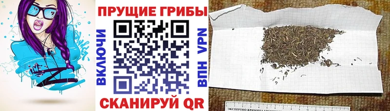 hydra сайт  Лаишево  Псилоцибиновые грибы мицелий 